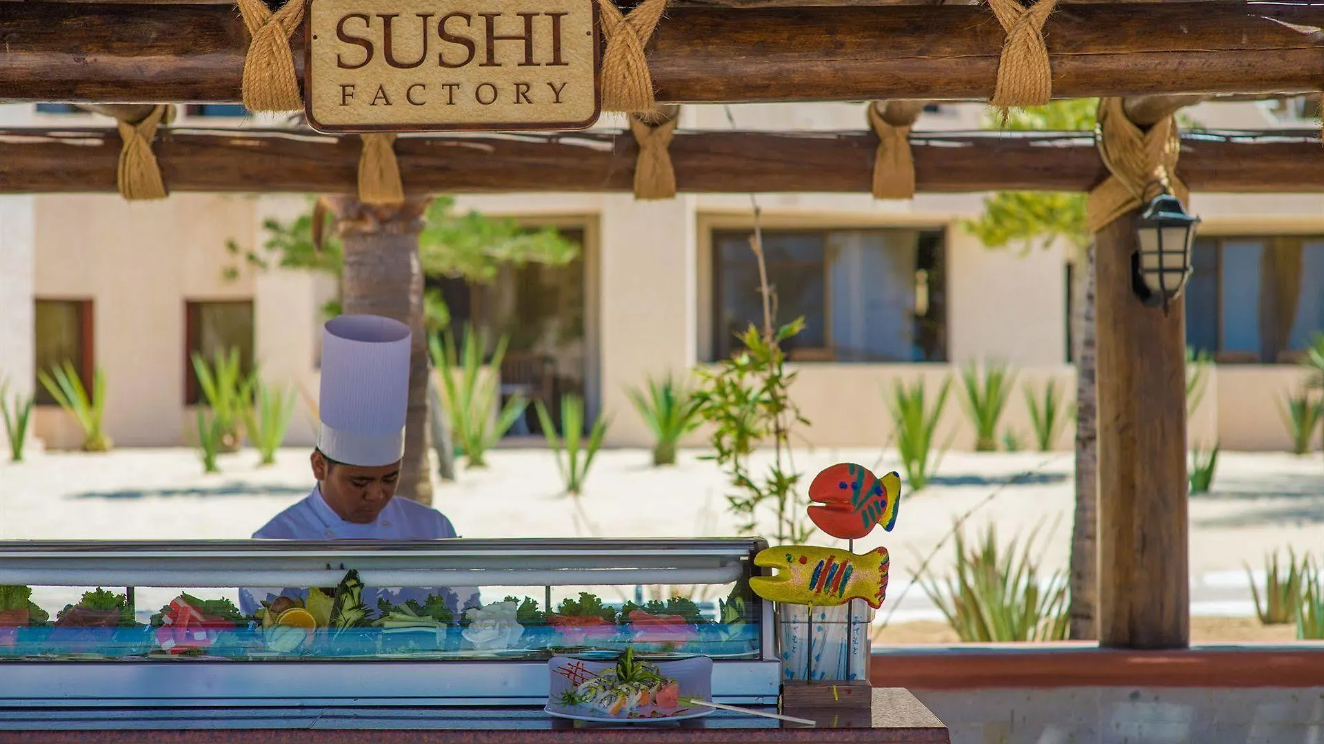 Solmar Resort Cabo San Lucas Mexiko